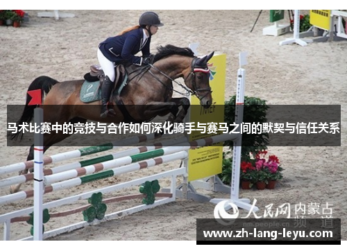 马术比赛中的竞技与合作如何深化骑手与赛马之间的默契与信任关系